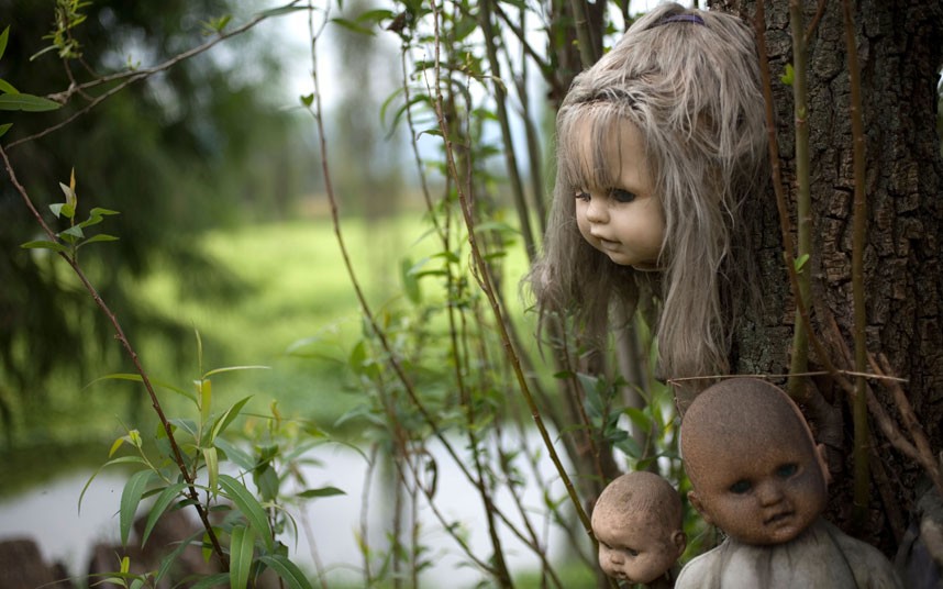 Куклы развешаны на деревьях