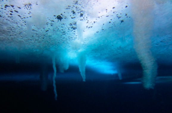Ледяные сосульки свисают под водой